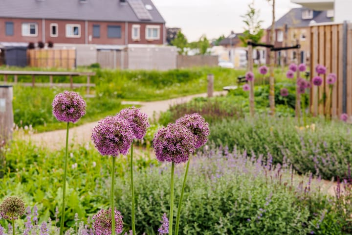 Foto 47 van Bessembiender 19