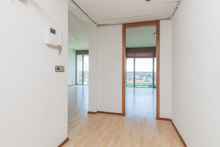 Foto 5 van Duindistel 86