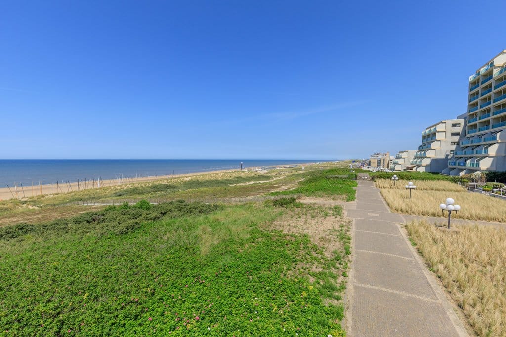 Foto 19 van Duindistel 86