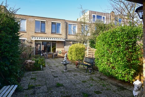 undefined main image