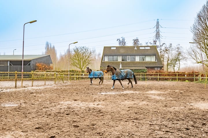 Foto 40 van Reinesteijnseweg 2