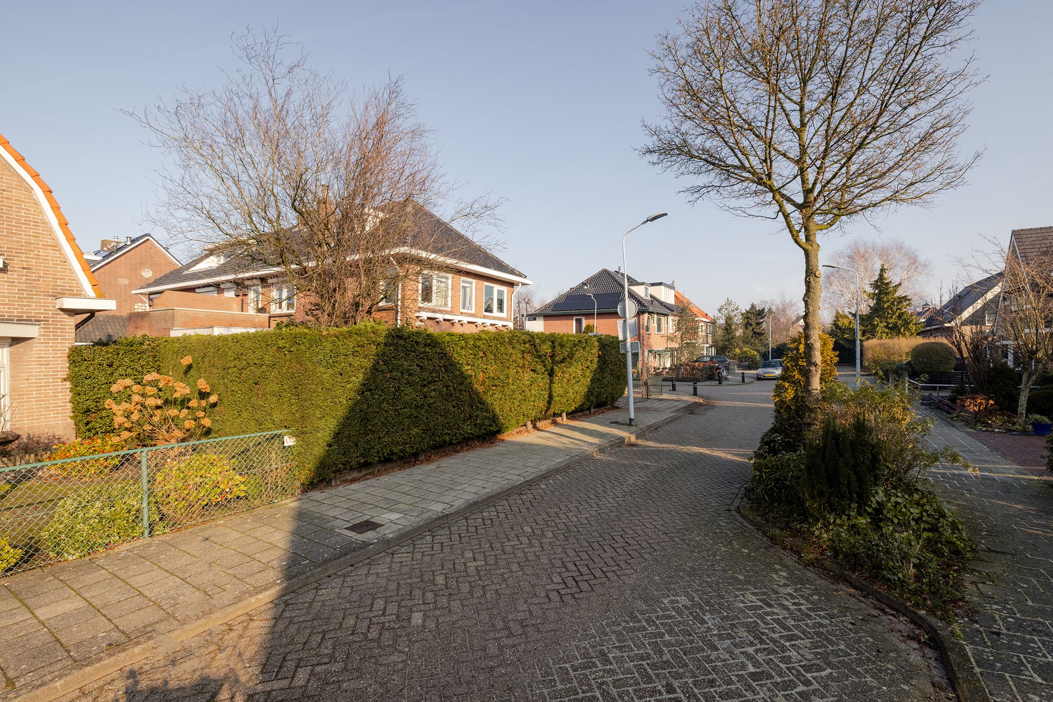 Photo 42 of Matthijs Sterklaan 2