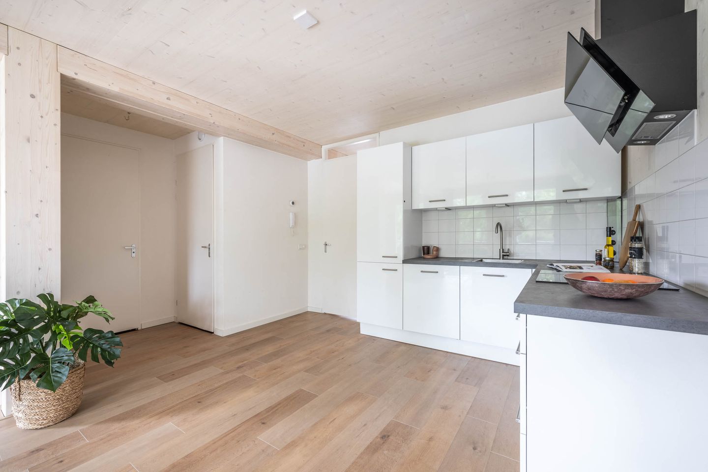 Foto 25 van Pierebaan 47