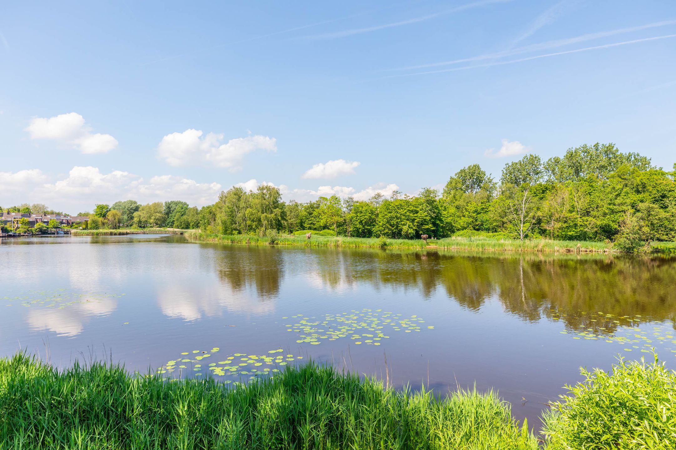 Foto 45 van Pierebaan 47