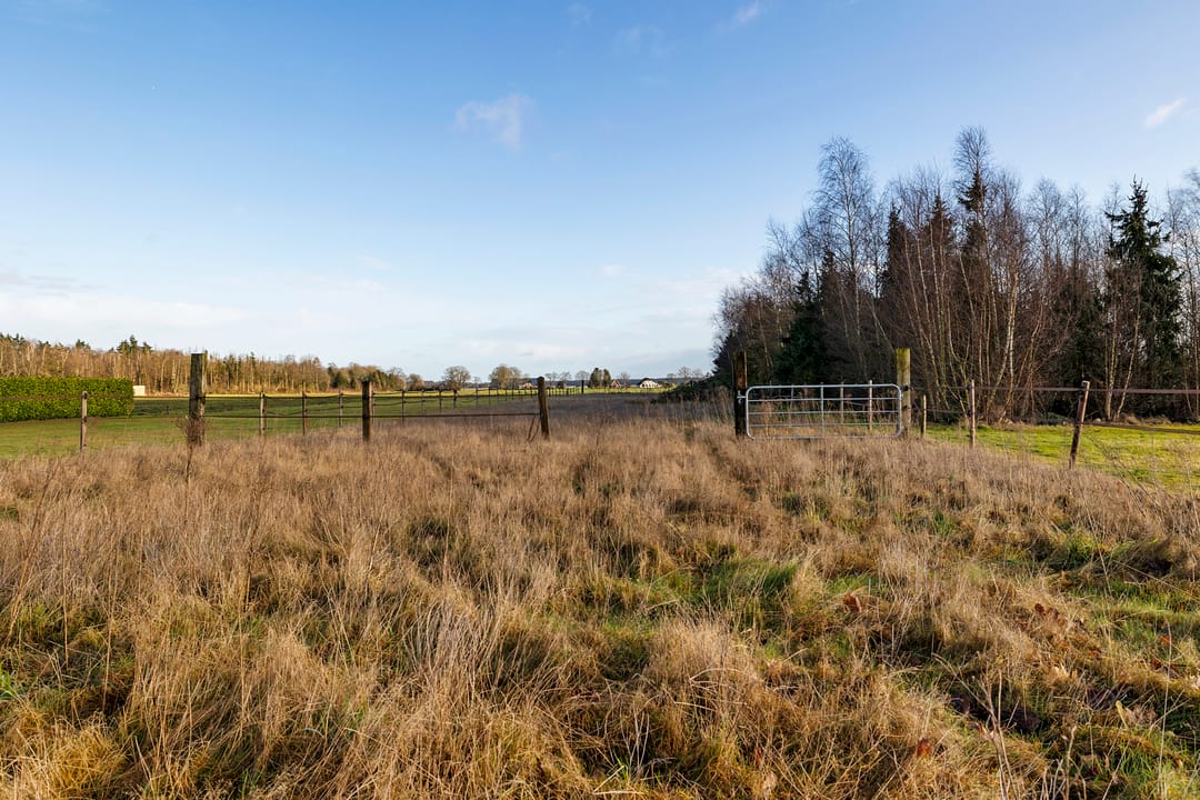 Photo 17 of Tramstraat 38