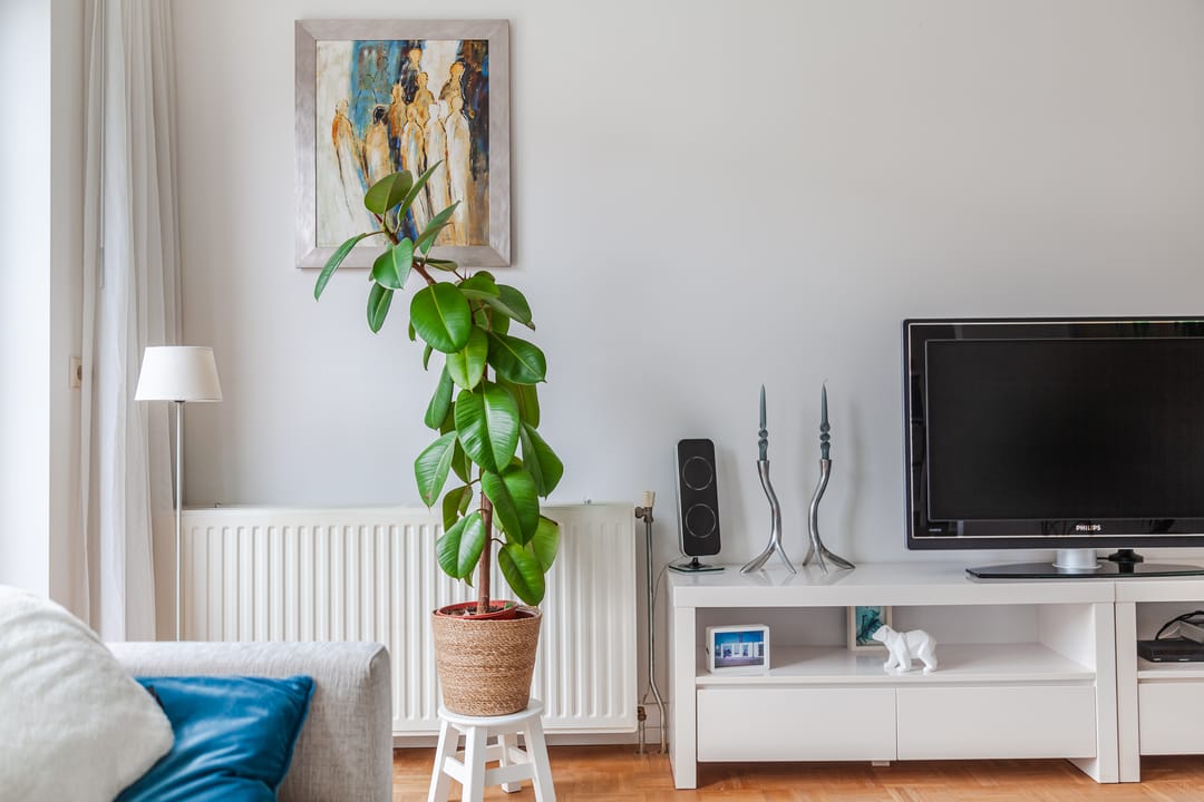 Foto 11 van Primusstraat 9