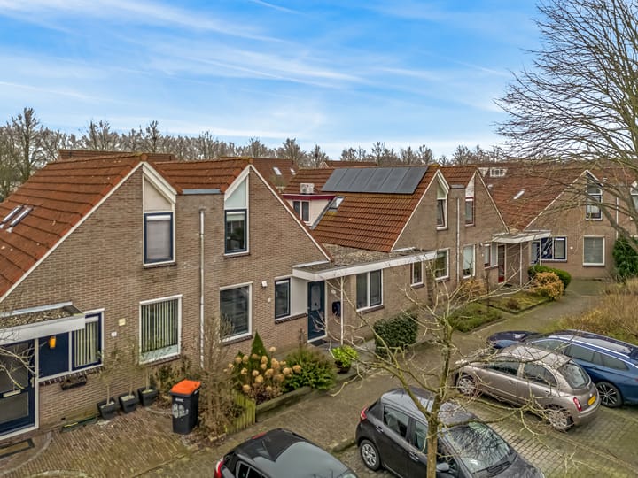 Photo 29 of Cypres 26