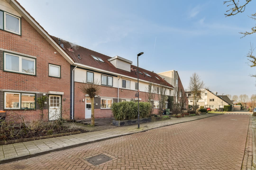 Foto 17 van Steenuil 15