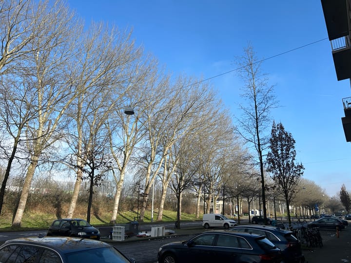 Foto 14 van Dalsteindreef 138