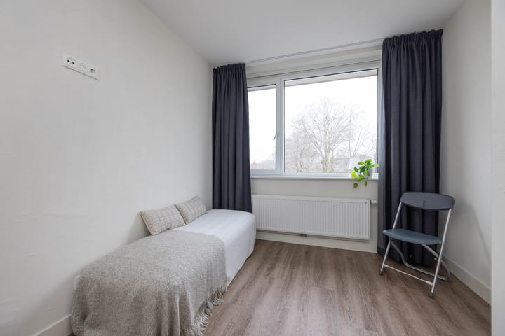 Photo 15 of Klaver 11