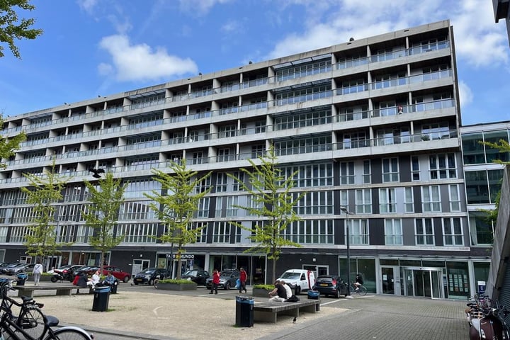 Professor de Moorplein 495