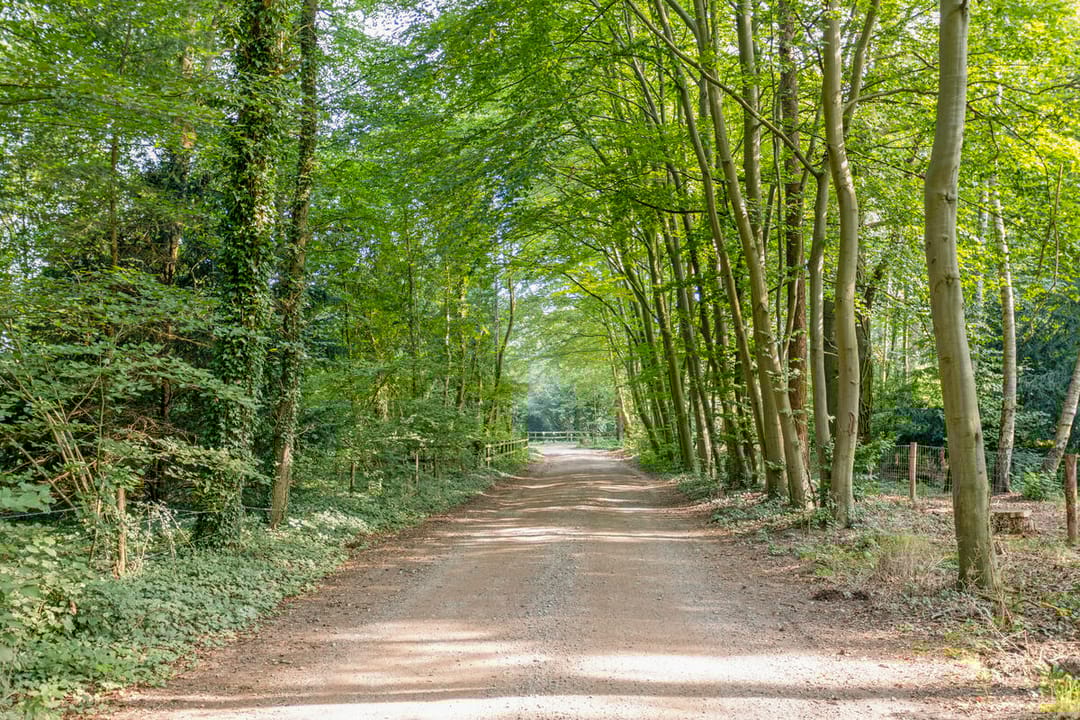 Photo 11 of Oxerweg 5