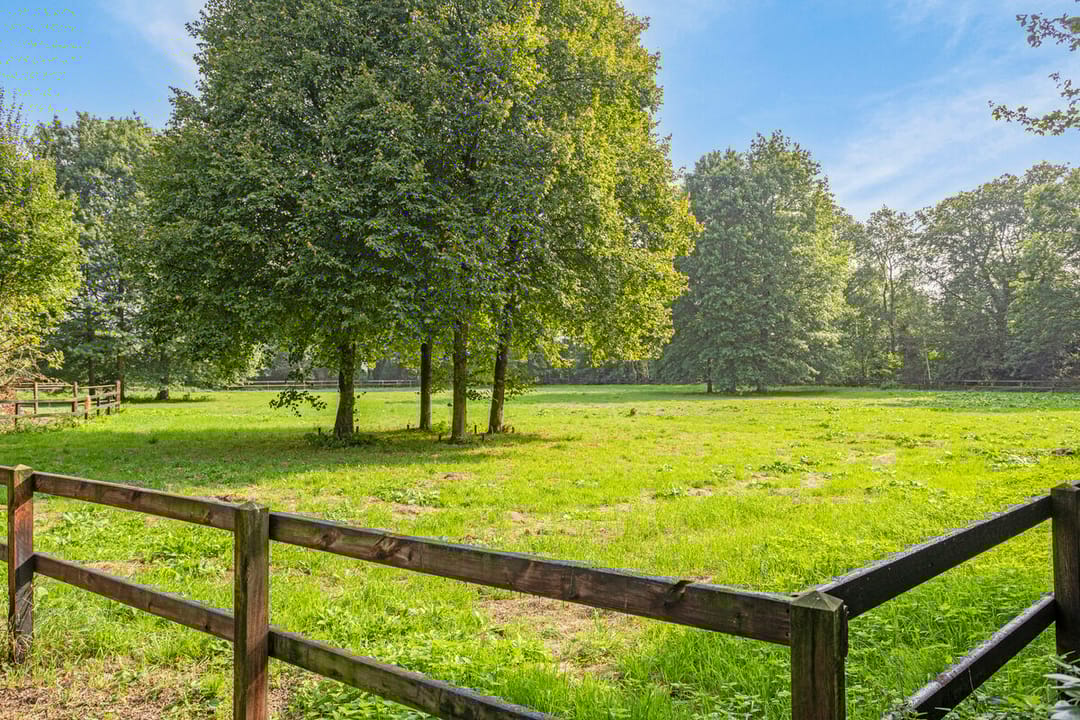 Photo 16 of Oxerweg 5