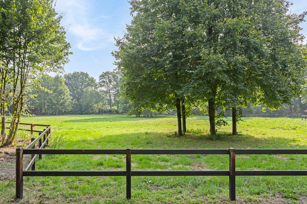 Photo 21 of Oxerweg 5