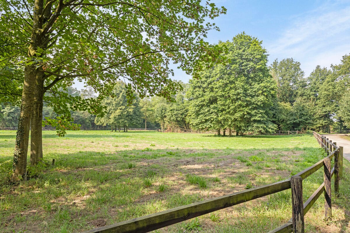 Photo 55 of Oxerweg 5