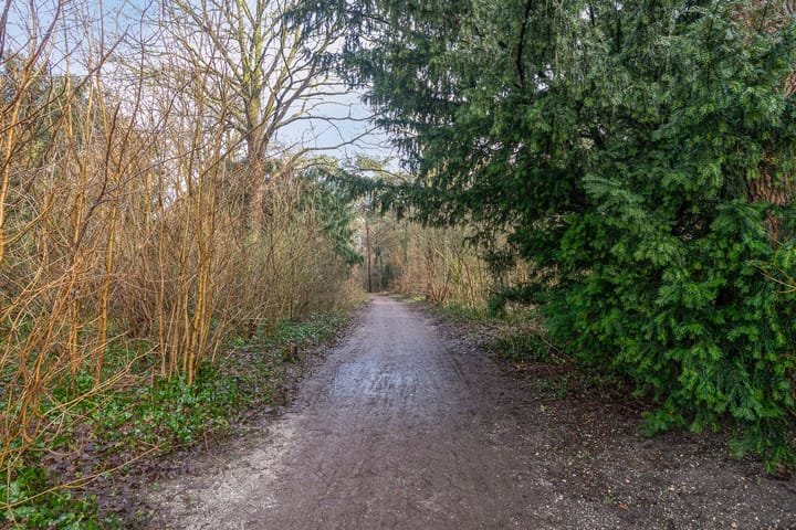 Foto 35 van Randwijksingel 127