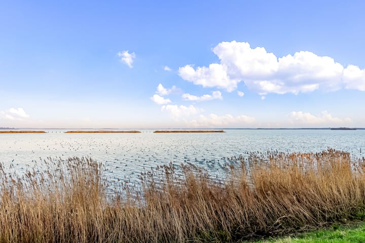 Foto 2 van Elementen 81