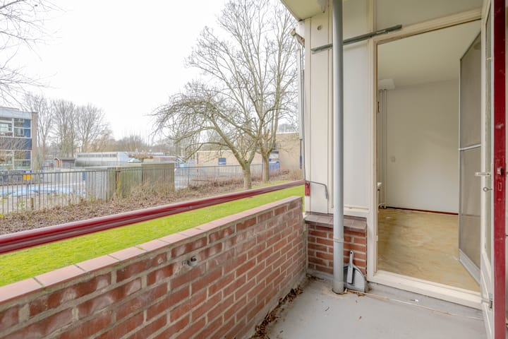 Foto 20 van Ruigoord 302