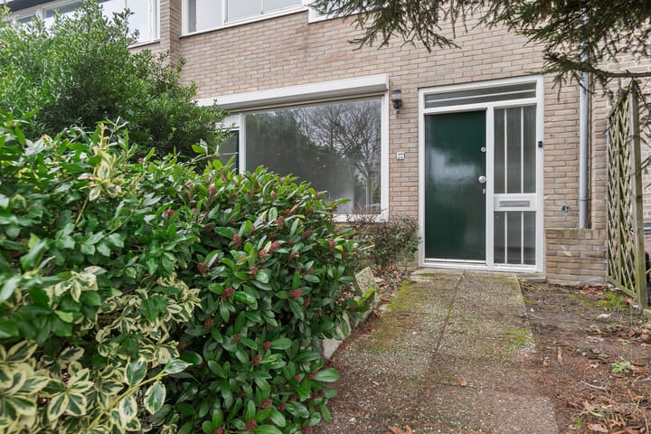 Foto 5 van Loevestein 27