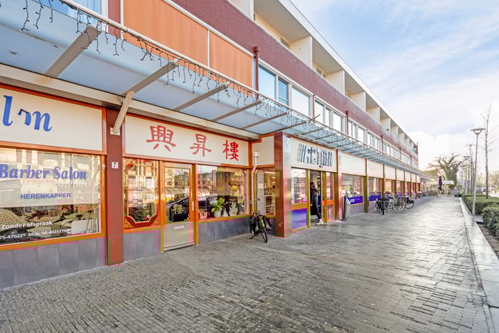 Foto 32 van Tak van Poortvlietstraat 14