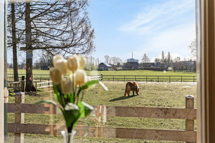 Foto 39 van Pausendijk 3