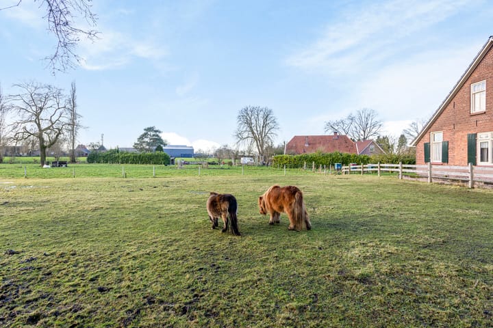 Foto 53 van Pausendijk 3