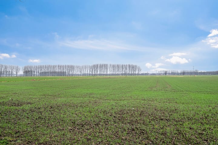 Foto 30 van Schermerhornstraat 22