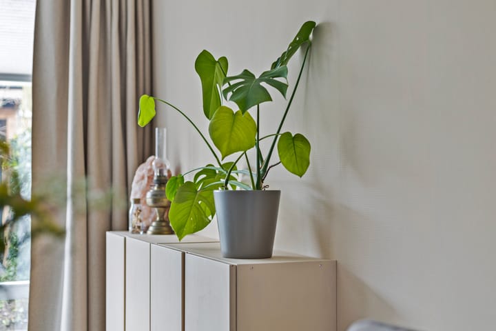 Foto 16 van Kwartellaan 20