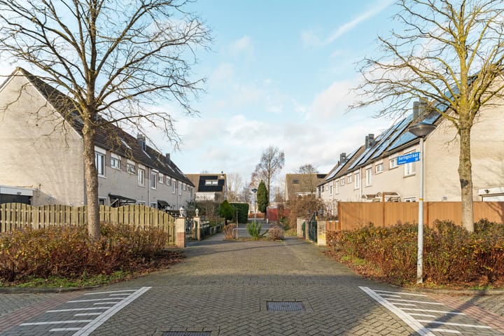 Foto 35 van Seringstraat 41