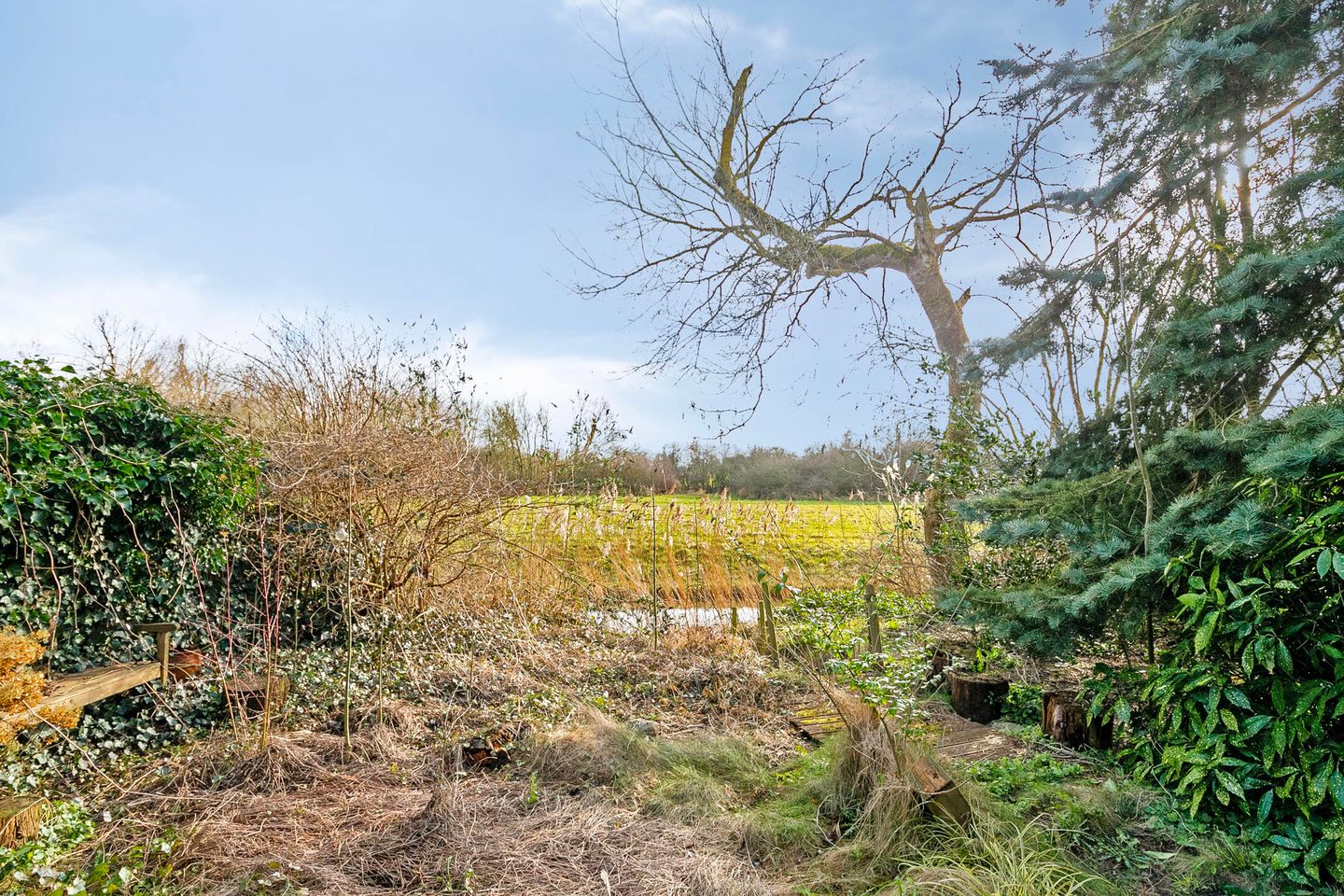 Foto 1 van Holmsterheerd 36