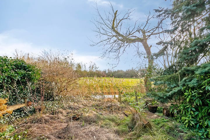 Foto 1 van Holmsterheerd 36