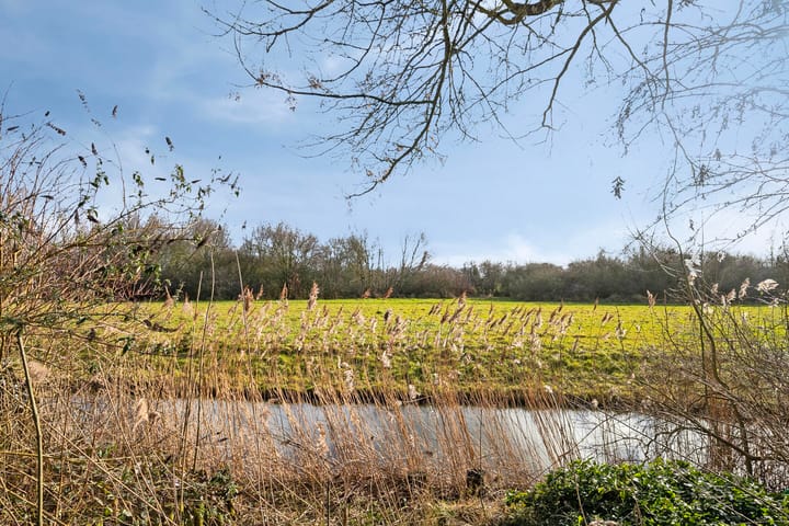 Foto 18 van Holmsterheerd 36