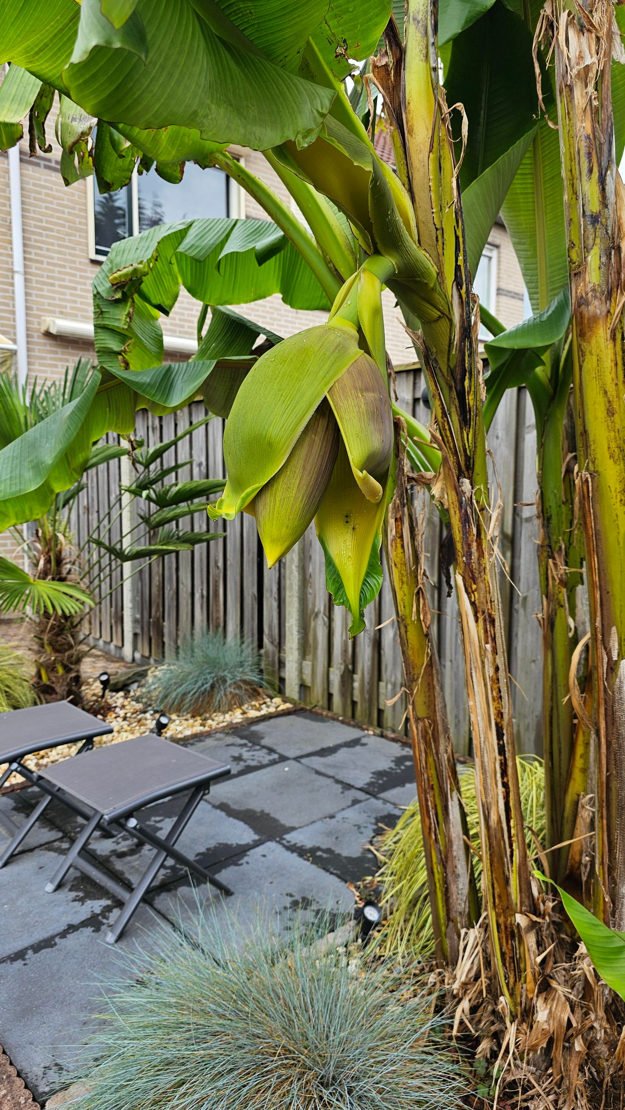 Foto 36 van Rivierenlaan 51