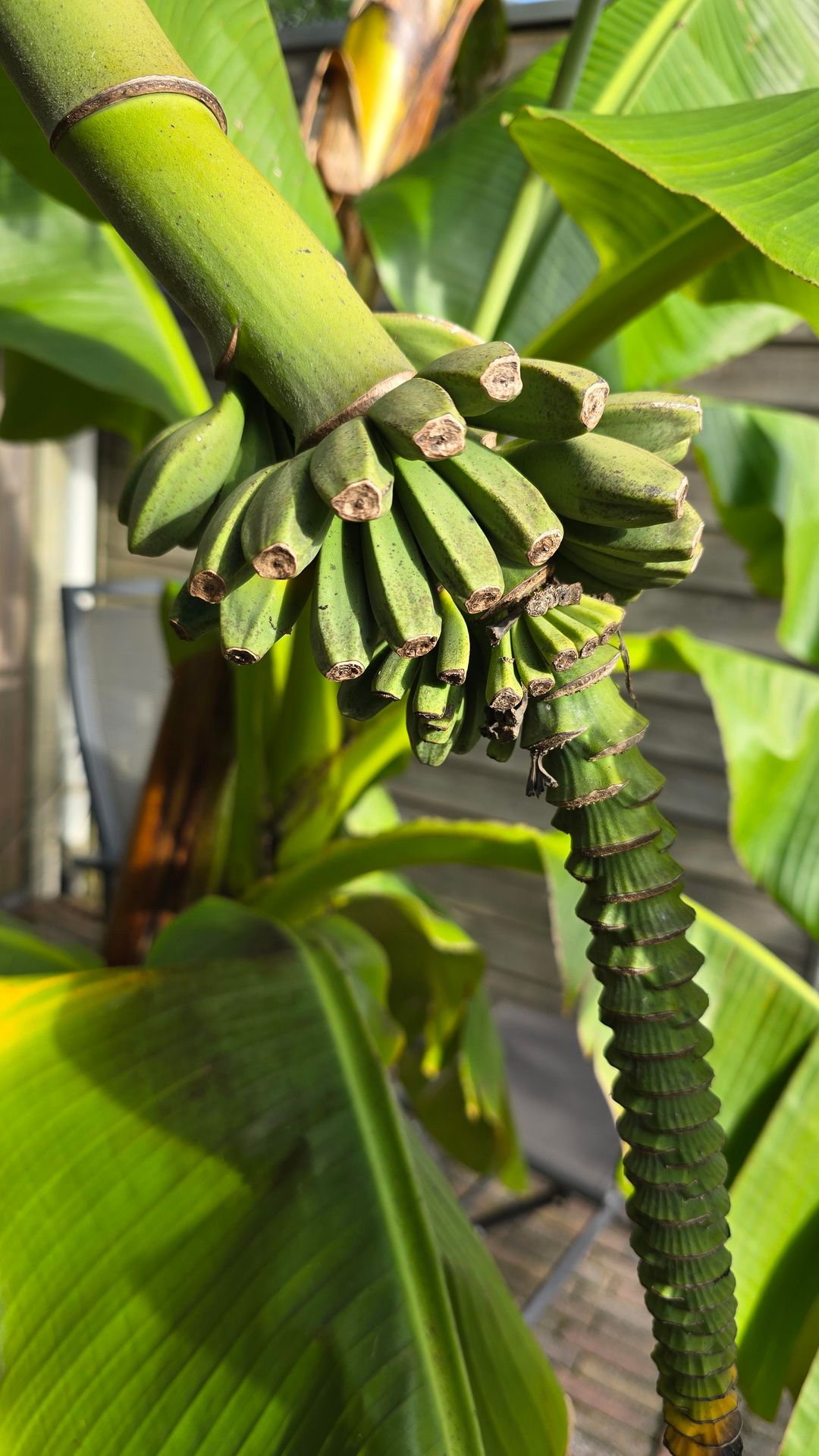 Foto 37 van Rivierenlaan 51