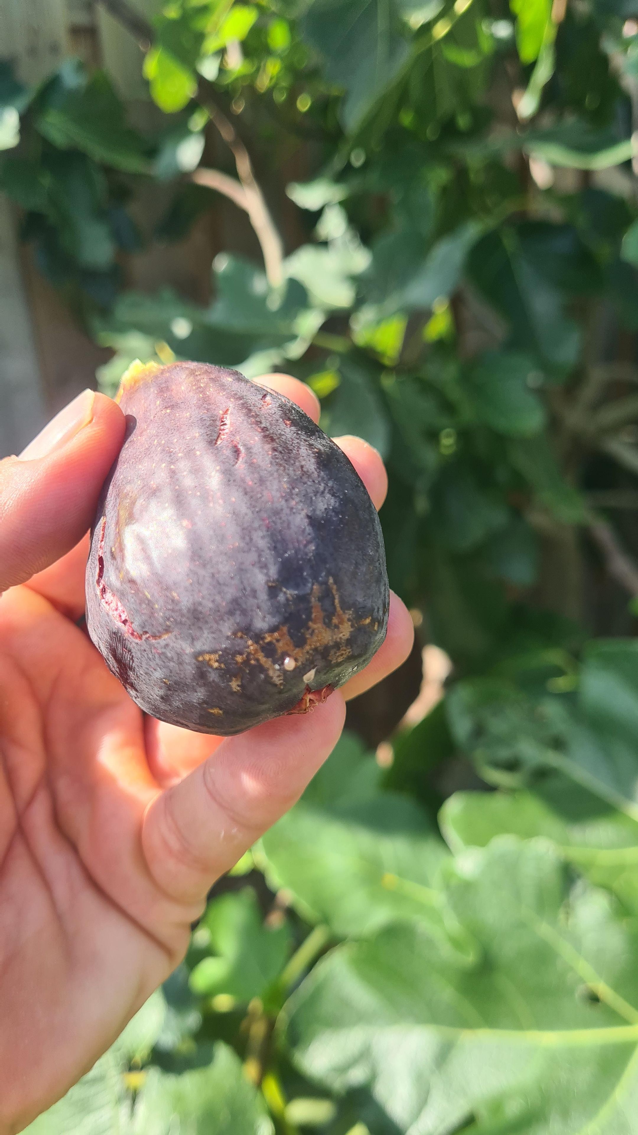 Foto 39 van Rivierenlaan 51