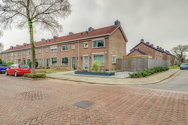 undefined main image