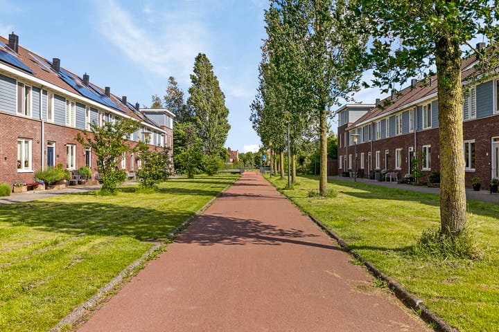 Foto 43 van Shetlandpad 13