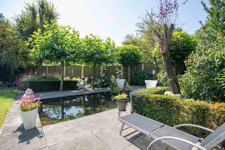 Foto 7 van Europa-ring 24