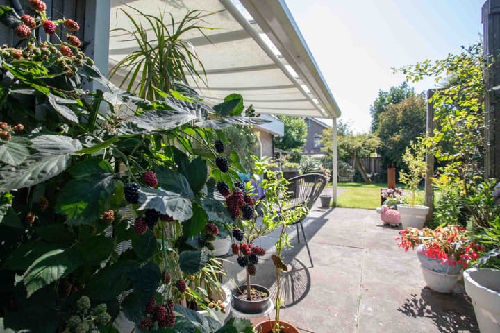 Foto 52 van Europa-ring 24