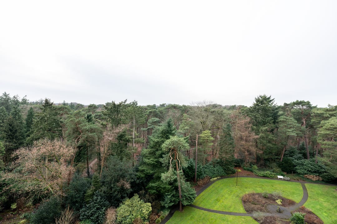 Foto 11 van Arnhemse Bovenweg 16-81