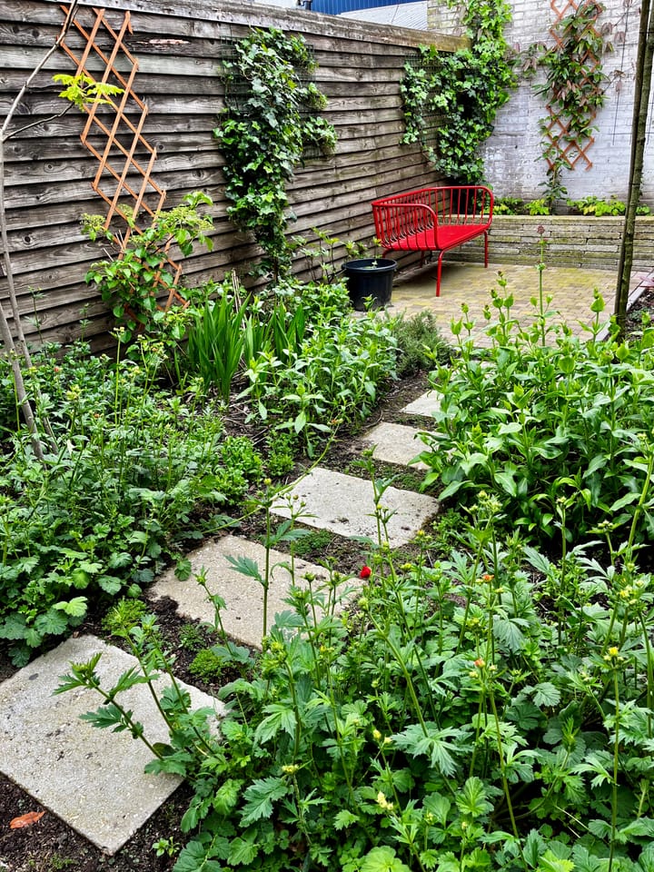 Foto 51 van Reigerstraat 57