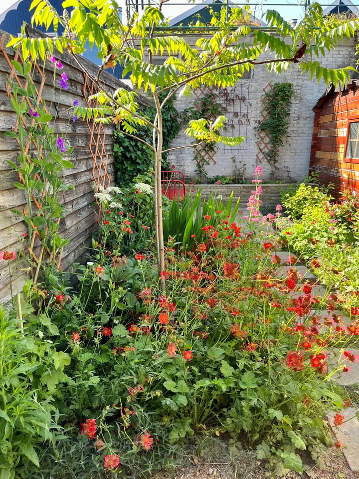 Foto 52 van Reigerstraat 57