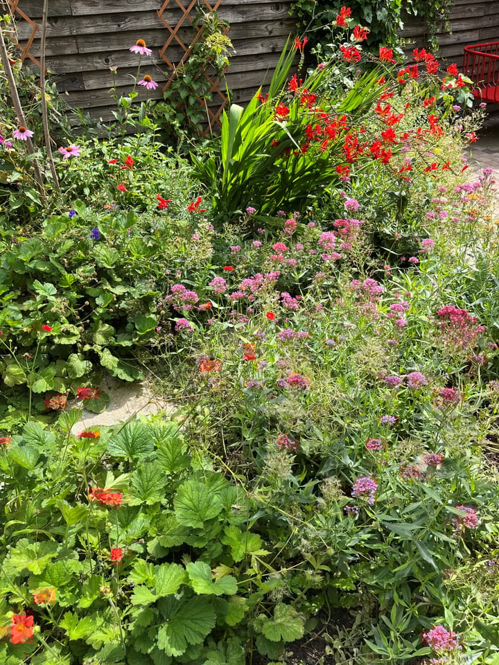 Foto 53 van Reigerstraat 57