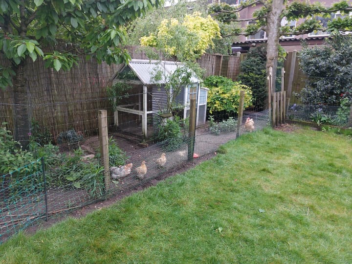 Foto 61 van Tuinfluiterstraat 123