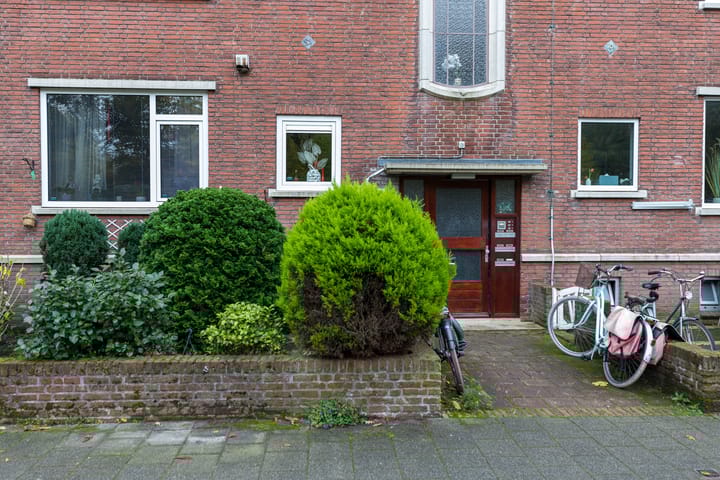 Foto 4 van Frans Halskade 215