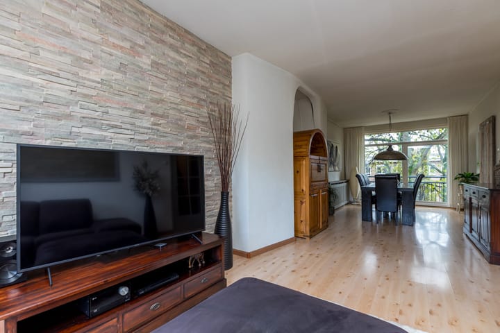 Foto 9 van Frans Halskade 215