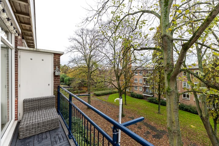 Foto 13 van Frans Halskade 215