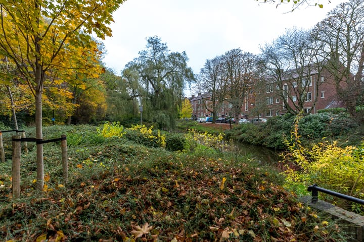 Foto 30 van Frans Halskade 215