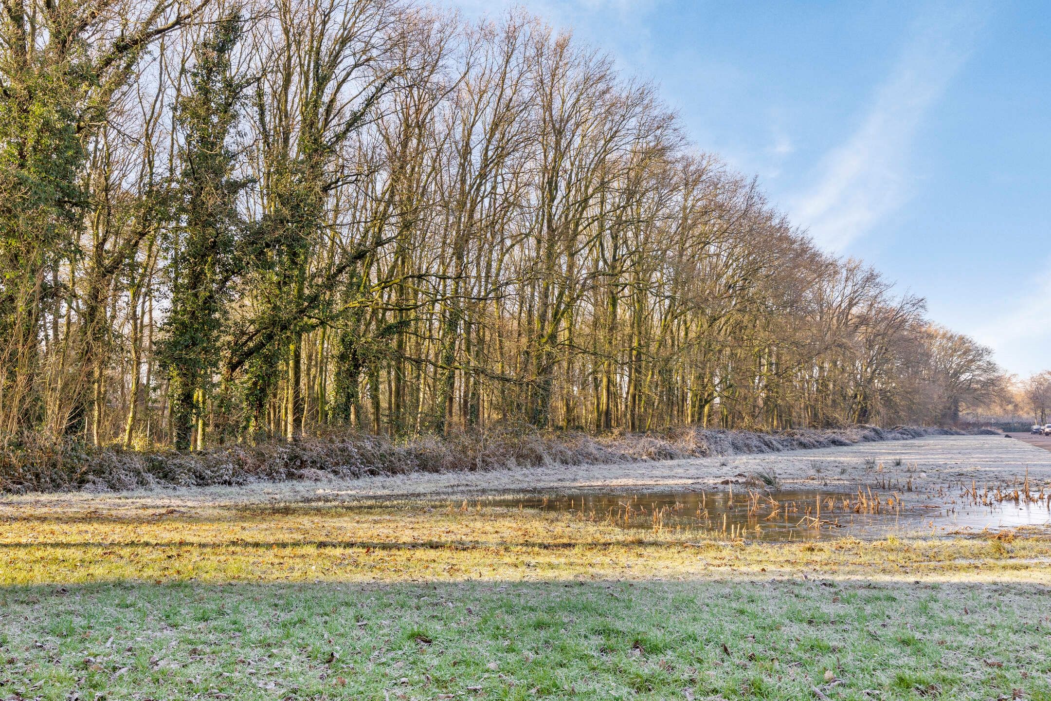 Foto 33 van Brouwersbos 66