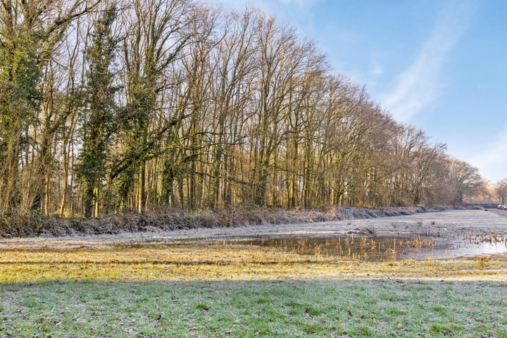 Foto 33 van Brouwersbos 66